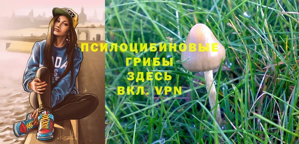 синтетический гашиш Абинск