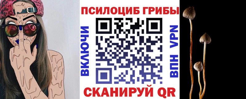 Псилоцибиновые грибы MAGIC MUSHROOMS Заводоуковск