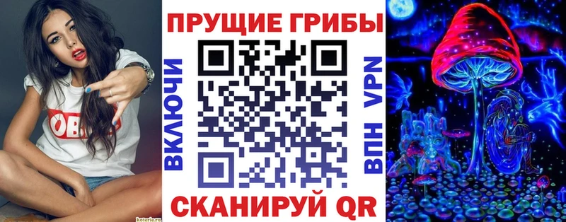 Псилоцибиновые грибы Psilocybe  даркнет сайт  Заводоуковск 