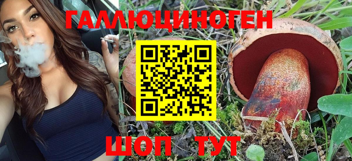 Галлюциногенные грибы Magic Shrooms  Вход с VPN  Псилоцибиновые грибы Magic Shrooms  Заводоуковск 